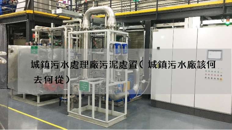 城鎮污水處理廠污泥處置(城鎮污水廠該何去何從)